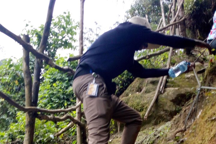 8 Days DR Congo Rwenzori Mountains hiking – Touching the Glacier (4350m alt)