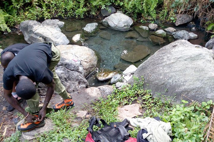 8 Days DR Congo Rwenzori Mountains hiking – Touching the Glacier (4350m alt)