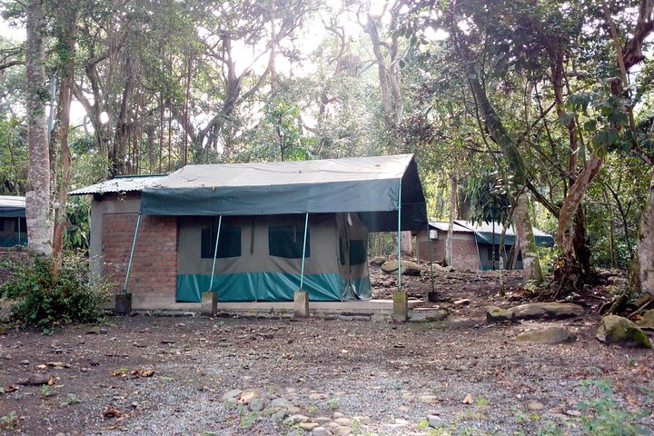 9 Days Congo Rwenzori Mountain hiking – Reaching Peak Margherita (5109 m of alt)