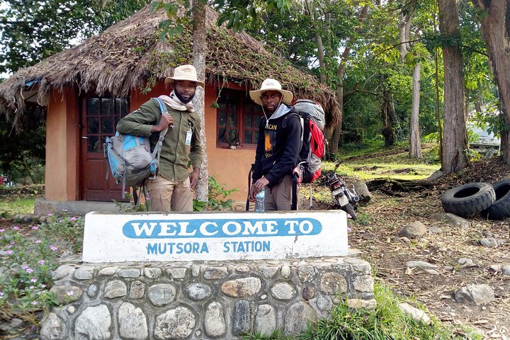9 Days Congo Rwenzori Mountain hiking – Reaching Peak Margherita (5109 m of alt)
