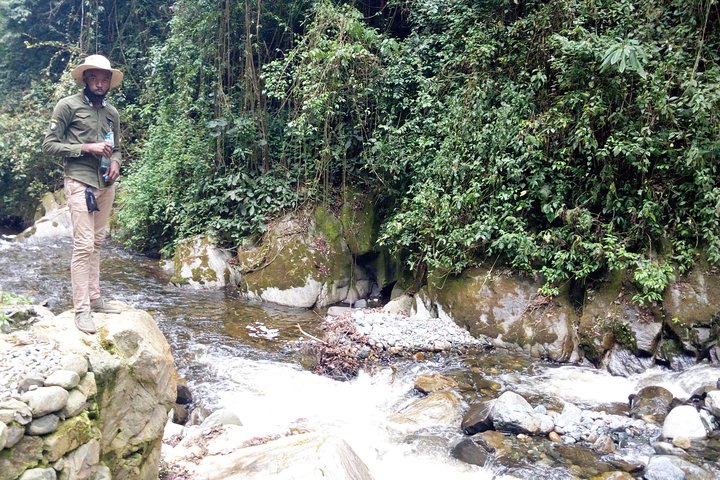 9 Days Congo Rwenzori Mountain hiking – Reaching Peak Margherita (5109 m of alt)
