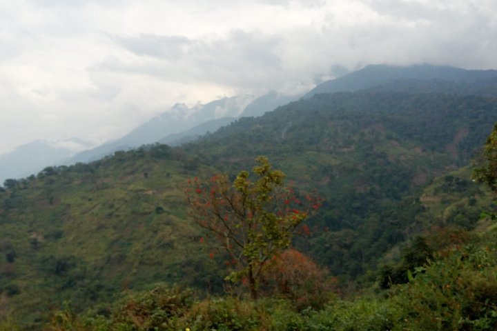 9 Days Congo Rwenzori Mountain hiking – Reaching Peak Margherita (5109 m of alt)