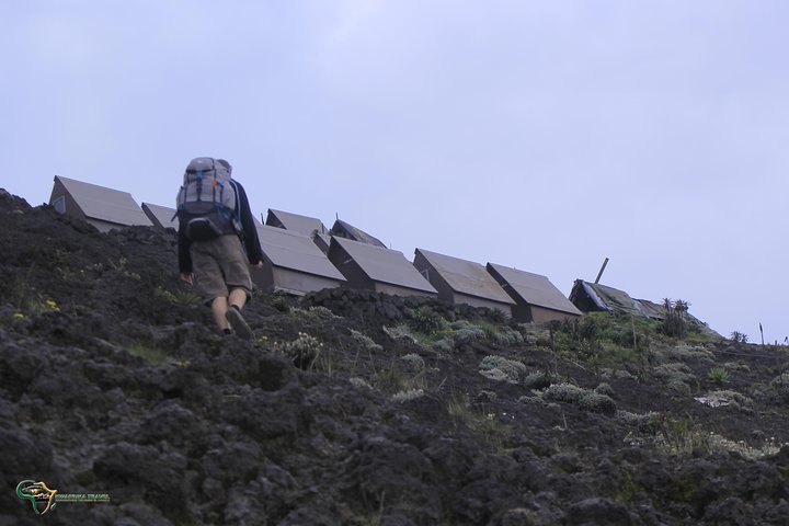 13 Days Congo Nyiragongo volcano & Rwenzoris mountains hiking (Lava & Glacier))