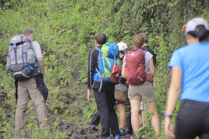 13 Days Congo Nyiragongo volcano & Rwenzoris mountains hiking (Lava & Glacier))