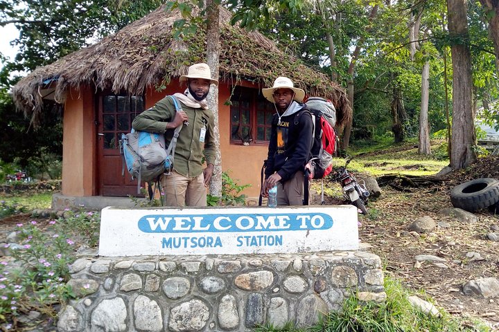 13 Days Congo Nyiragongo volcano & Rwenzoris mountains hiking (Lava & Glacier))