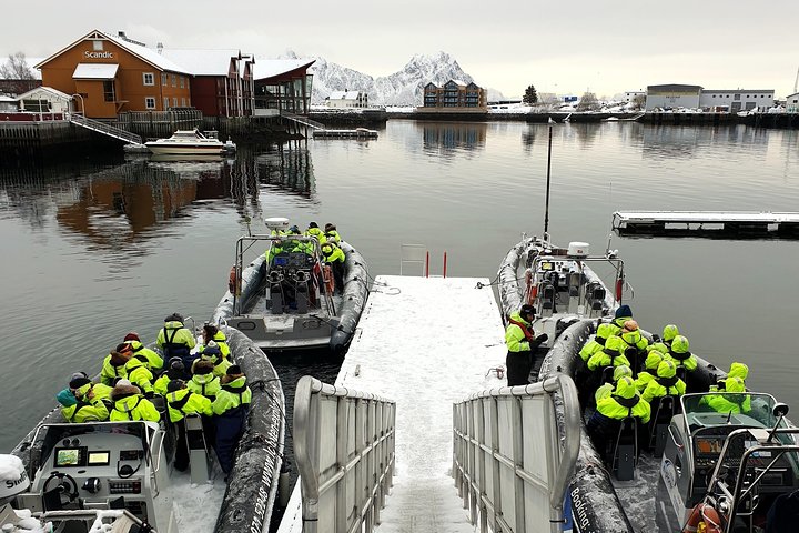 Trollfjord and Sea Eagle Safari Tour from Svolvaer