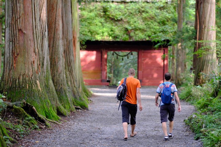 Togakushi: A Serene Walk Through Sacred Forests & Soba Traditions