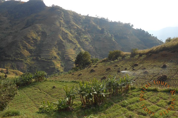 Uluguru Mountains Hike to Bondwa Peak 2 Days 1 Night Camping