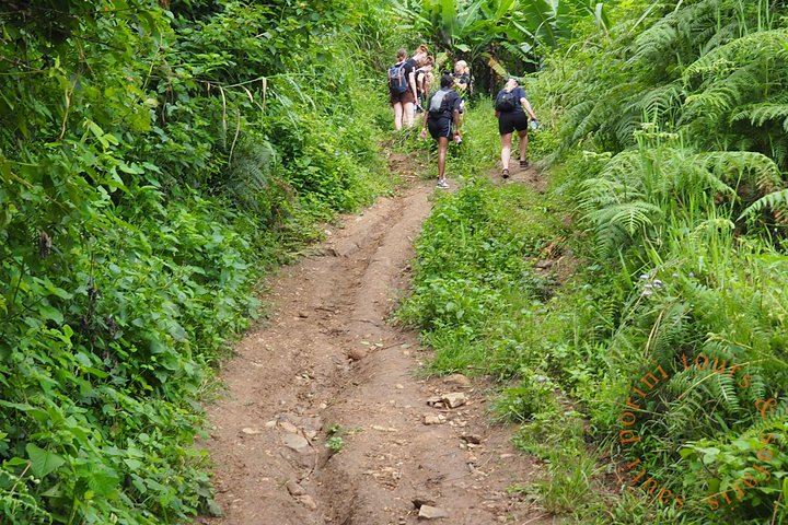 Uluguru Mountains Hike to Bondwa Peak 2 Days 1 Night Camping