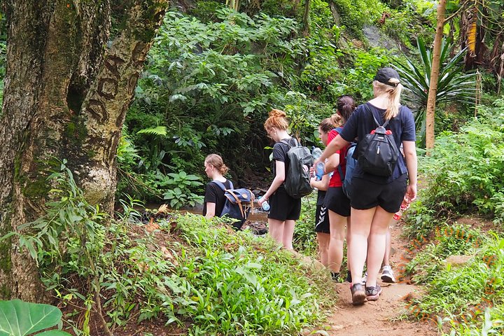 Uluguru Mountains Hike to Bondwa Peak 2 Days 1 Night Camping