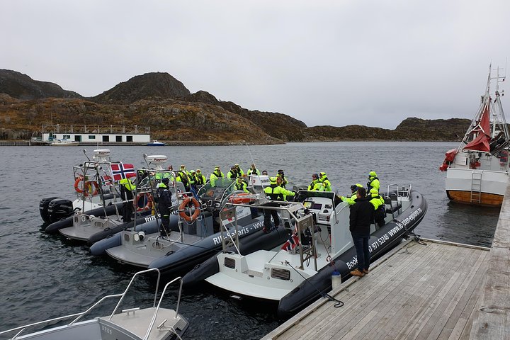 Trollfjord and Sea Eagle Safari Tour from Svolvaer