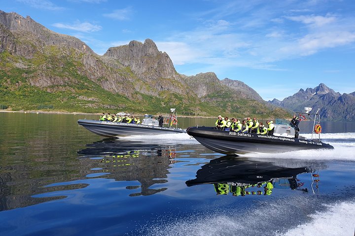 Trollfjord and Sea Eagle Safari Tour from Svolvaer