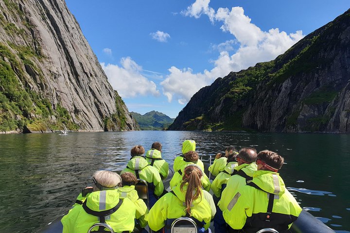 Trollfjord and Sea Eagle Safari Tour from Svolvaer