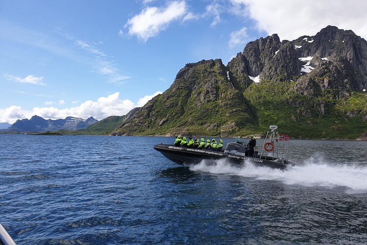 Trollfjord and Sea Eagle Safari Tour from Svolvaer