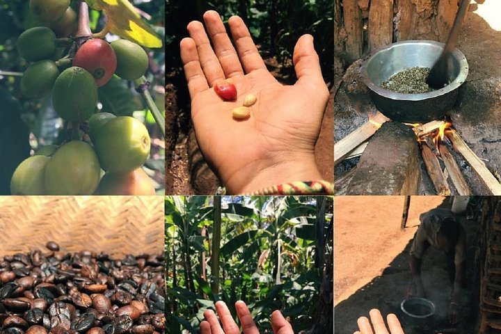 Materuni Waterfalls, coffee tour & Kikuletwa Hot Springs
