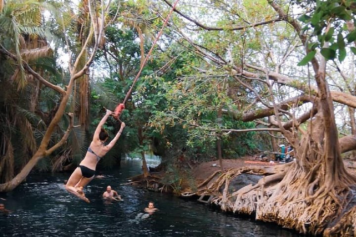 Materuni Waterfalls, coffee tour & Kikuletwa Hot Springs