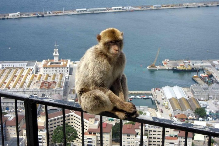 Gibraltar Sightseeing: Classic Rock Tour (Private)