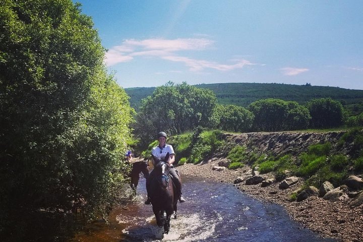 Wicklow Mountains Horse Trekking