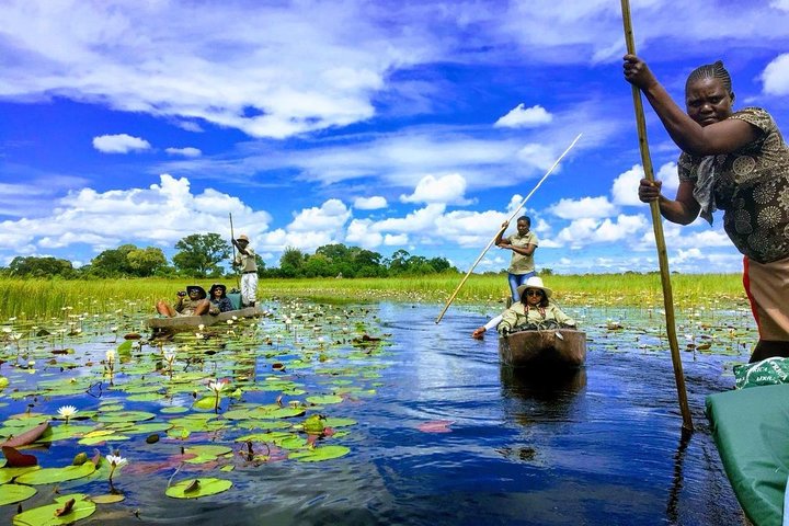 Luxury Okavango Safari - 3 Day