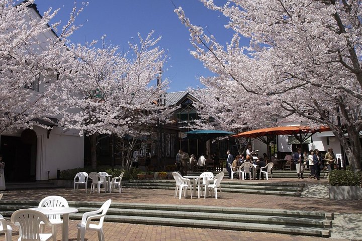Nagano Sake Tasting Walking Tour