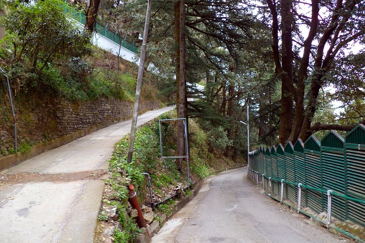 Discover Colonial Trails of Shimla 2 Hours Guided Walking Tour