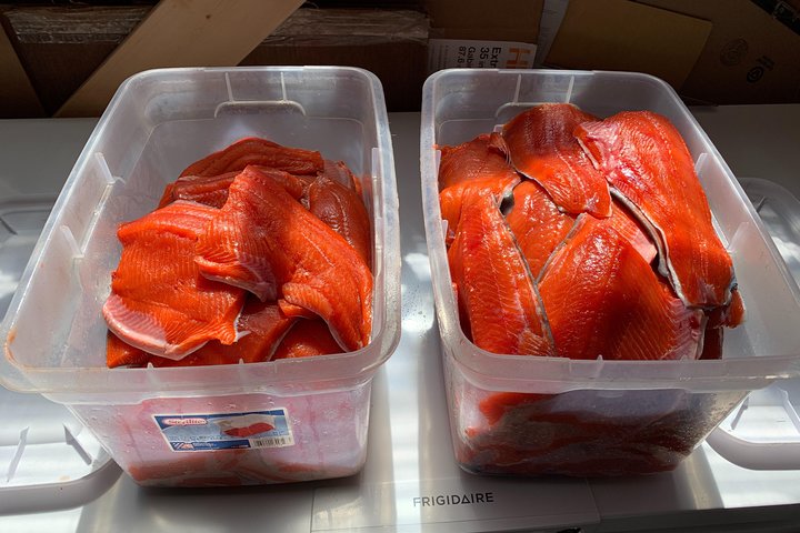 Full day Alaska Salmon Fishing on the Kenai Peninsula