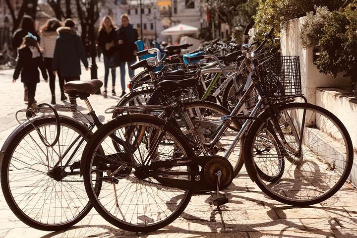 Semi-Private Day Tour from Tirana; Shkoder & Mrizi i Zanave