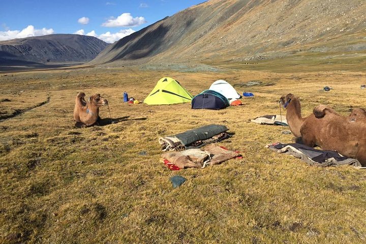 Taste of Mongolian Altai