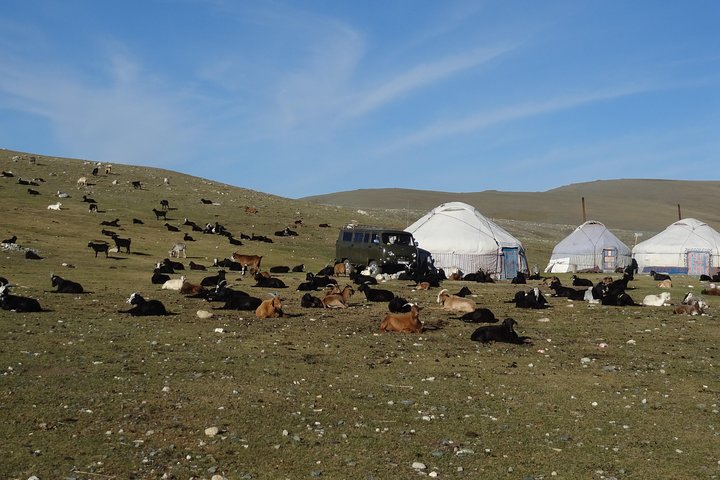 Taste of Mongolian Altai