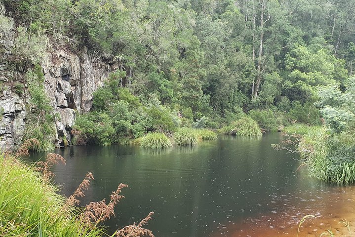 Scooter Tours through Tsitsikamma National Park