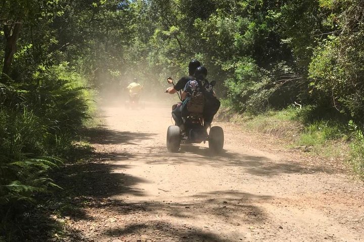 Scooter Tours through Tsitsikamma National Park