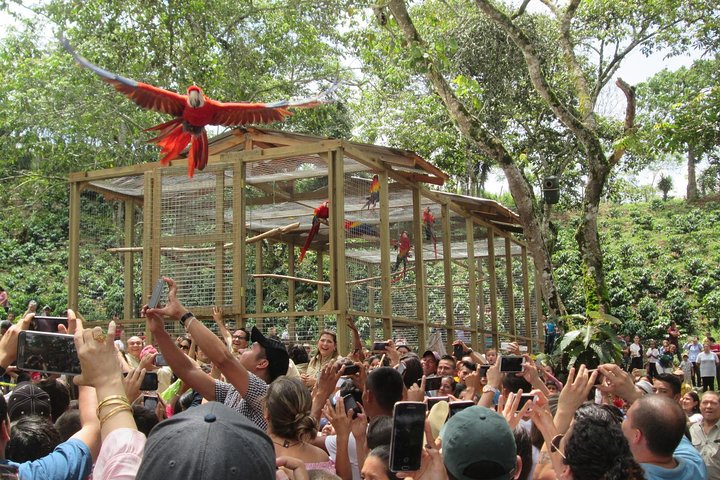 Copan Bird Park