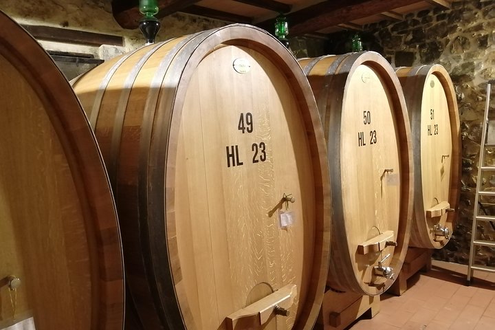 Small-Group Brunello di Montalcino Wine-Tasting Trip from Siena
