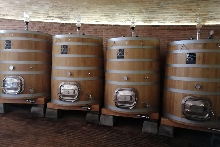 Small-Group Brunello di Montalcino Wine-Tasting Trip from Siena