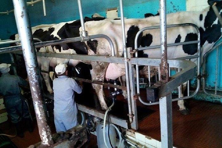 Agriculture Green Tour