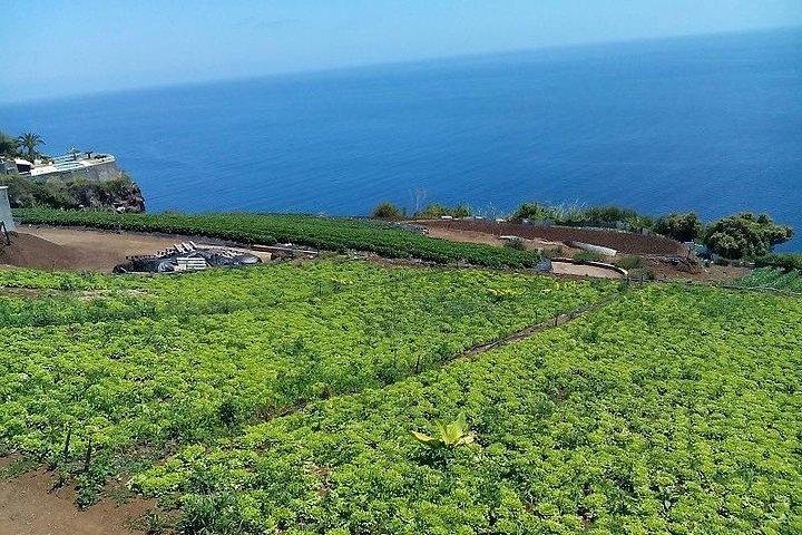 Agriculture Green Tour