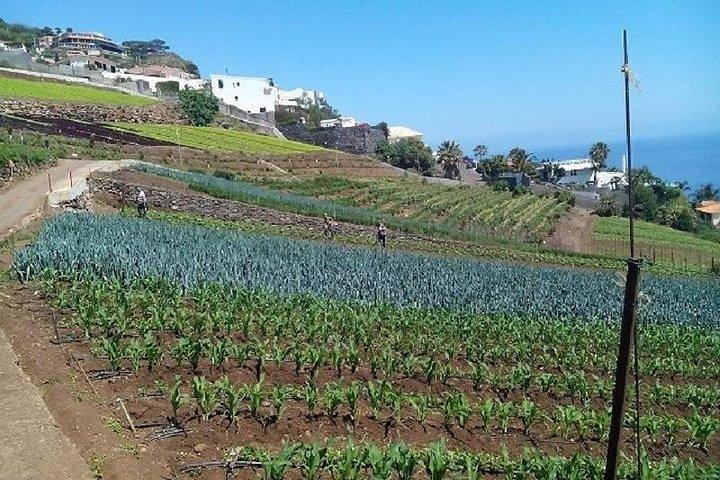 Agriculture Green Tour