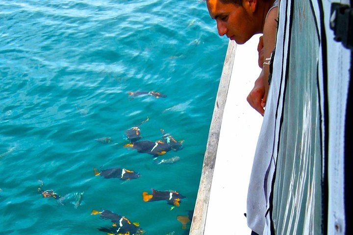 Machalilla: Snorkeling, Kayaking, Birdwatching & Intro Diving