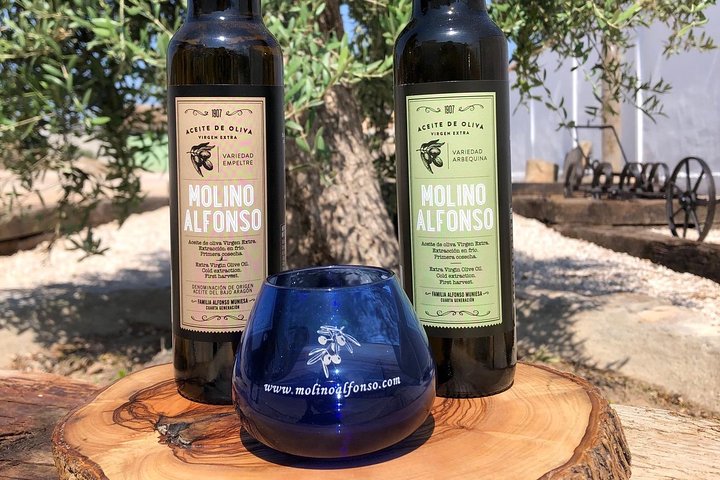 Olive Oil Tour and Visit to Belchite Old Town