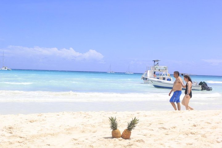 Saona Island Day Trip From Punta Cana with Lunch and Open Bar