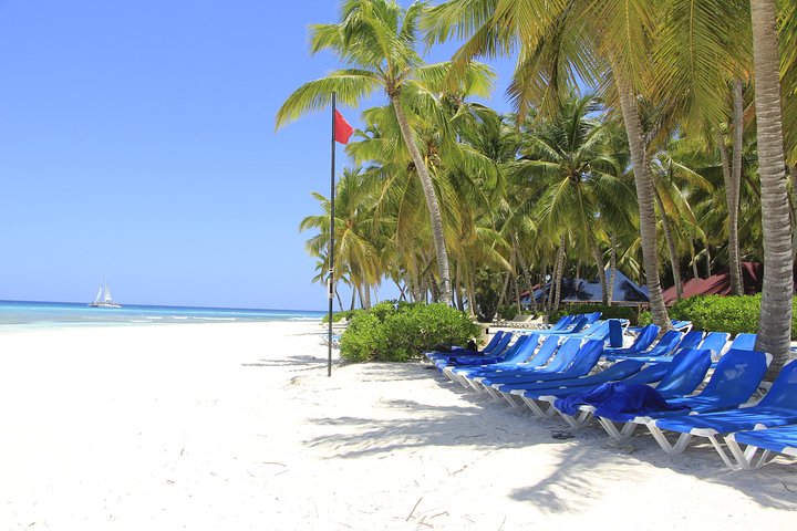 Saona Island Day Trip From Punta Cana with Lunch and Open Bar