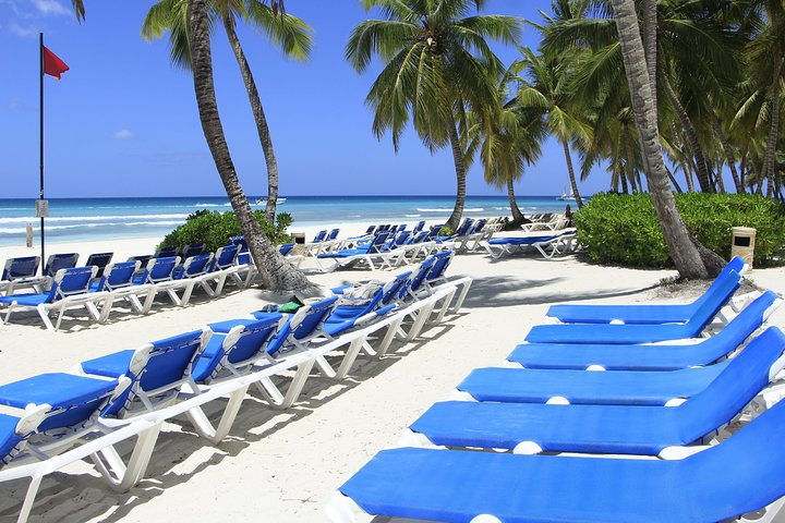 Saona Island Day Trip From Punta Cana with Lunch and Open Bar
