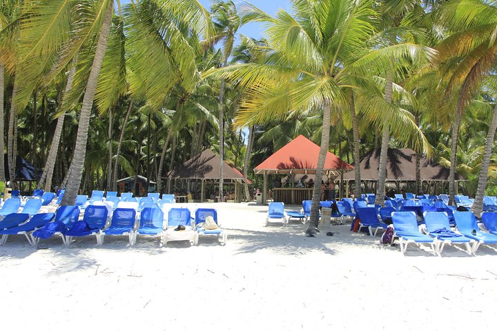 Saona Island Day Trip From Punta Cana with Lunch and Open Bar