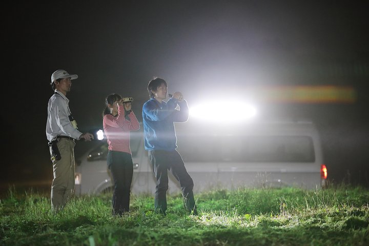 Wildlife Night Drive in Nagano, Japan