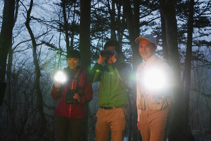 Wildlife Night Drive in Nagano, Japan