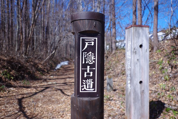 Togakushi: A Serene Walk Through Sacred Forests & Soba Traditions