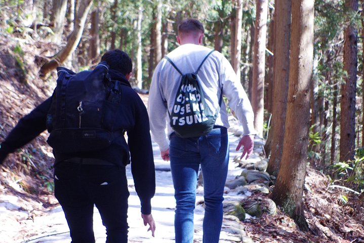 Togakushi: A Serene Walk Through Sacred Forests & Soba Traditions
