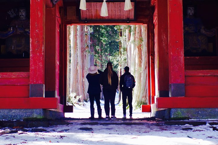 Togakushi: A Serene Walk Through Sacred Forests & Soba Traditions
