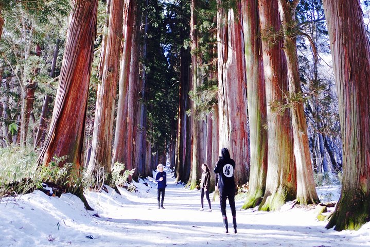 Togakushi: A Serene Walk Through Sacred Forests & Soba Traditions