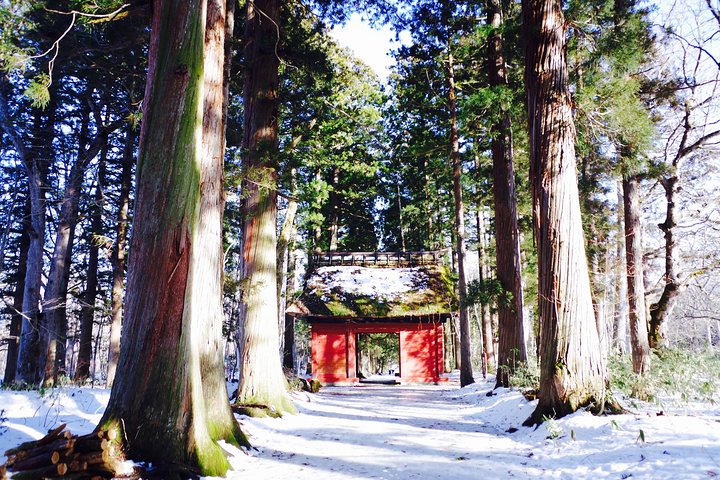 Togakushi: A Serene Walk Through Sacred Forests & Soba Traditions
